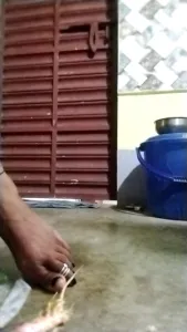 Preview of savita_77