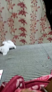 Preview of lesbocouple26