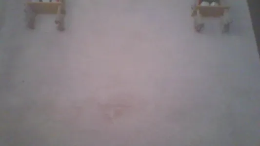 Preview of priya_gaotam