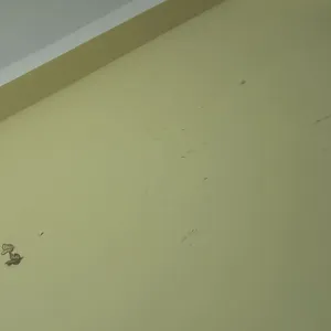 Selenaa selenaa