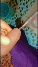 my pee video